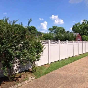 Gallery+() h Gallery+() h