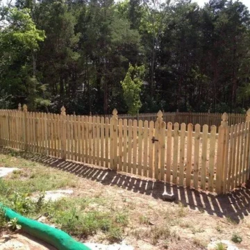 Gallery+() h Gallery+() h